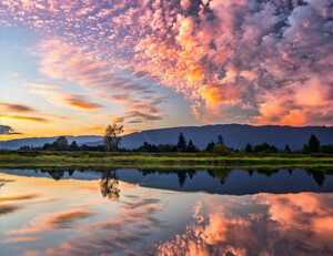 那不勒斯球迷热情高涨，期待球队再创辉煌