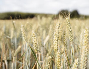 史图加特力克对手，主场斩获三分