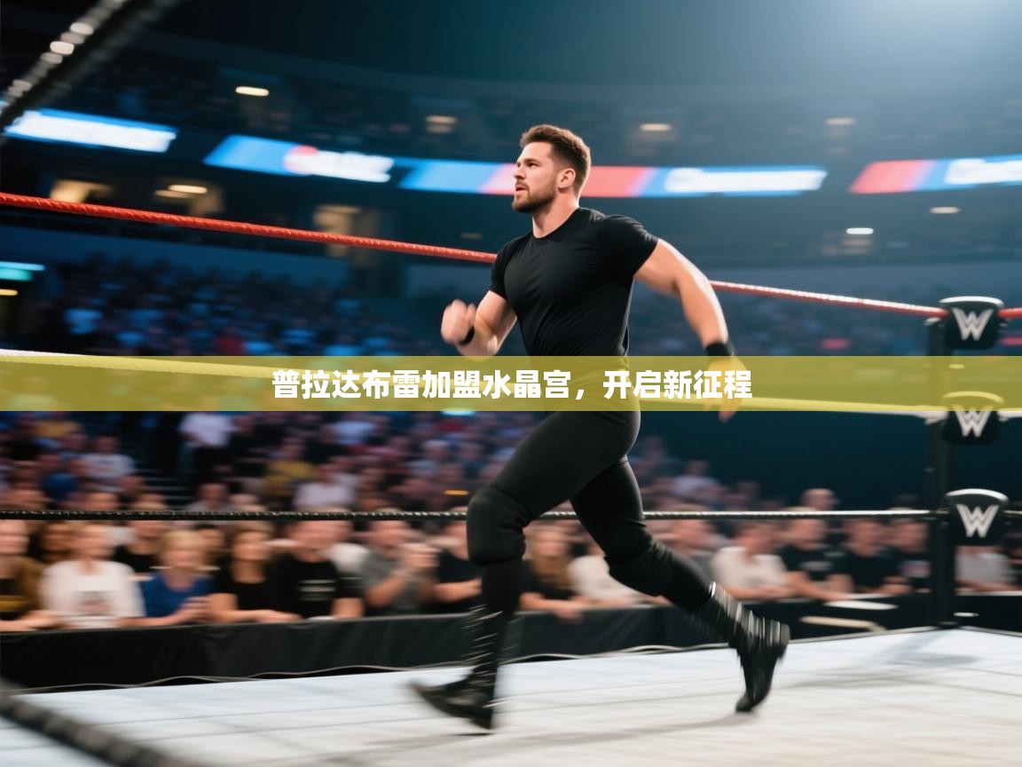 普拉达布雷加盟水晶宫,开启新征程 第2张