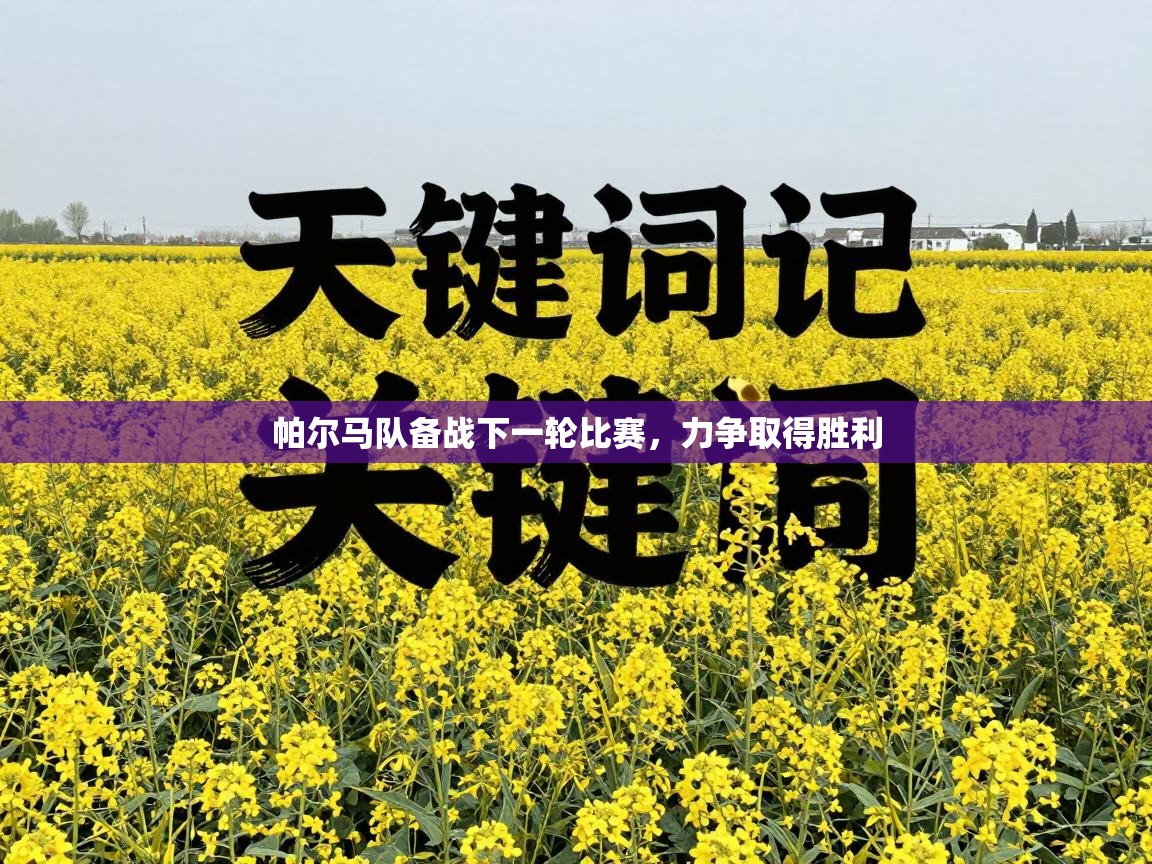 帕尔马队备战下一轮比赛，力争取得胜利  第2张